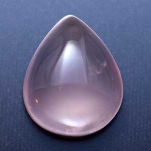 �V�R��,�J�{�V����,���[�Y�N�I�[�c,���K�[��