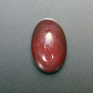 �V�R��,�J�{�V����,���r�[