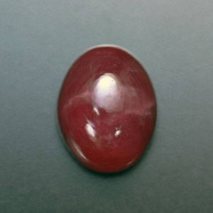 �V�R��,�J�{�V����,���r�[