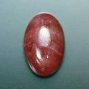 �V�R��,�J�{�V����,���r�[