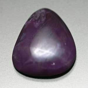 �V�R��,�J�{�V����,�X�M���C�g,���K�[��