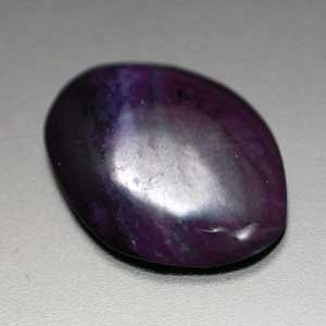 �V�R��,�J�{�V����,�X�M���C�g,���K�[��