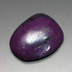 �V�R��,�J�{�V����,�X�M���C�g,���K�[��