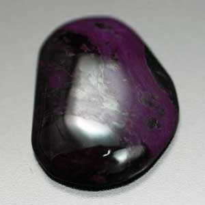 �V�R��,�J�{�V����,�X�M���C�g,���K�[��