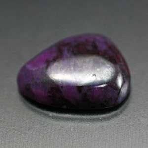 �V�R��,�J�{�V����,�X�M���C�g,���K�[��