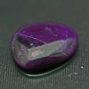 �V�R��,�J�{�V����,�X�M���C�g,���K�[��