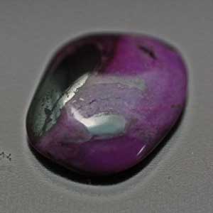 �V�R��,�J�{�V����,�X�M���C�g,���K�[��