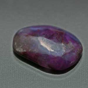 �V�R��,�J�{�V����,�X�M���C�g,���K�[��