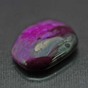 �V�R��,�J�{�V����,�X�M���C�g,���K�[��