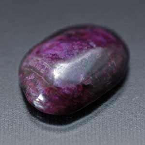 �V�R��,�J�{�V����,�X�M���C�g,���K�[��