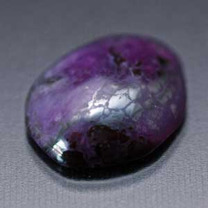 �V�R��,�J�{�V����,�X�M���C�g,���K�[��