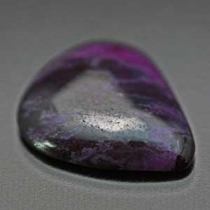 �V�R��,�J�{�V����,�X�M���C�g,���K�[��