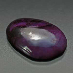 �V�R��,�J�{�V����,�X�M���C�g,���K�[��