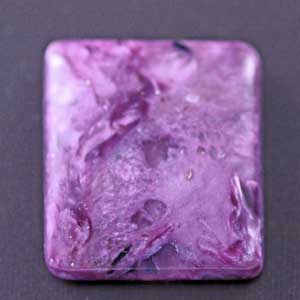 �V�R��,�J�{�V����,�`�����A�C�g,���K�[��