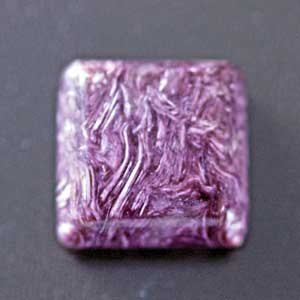 �V�R��,�J�{�V����,�`�����A�C�g,���K�[��