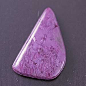 �V�R��,�J�{�V����,�`�����A�C�g,���K�[��