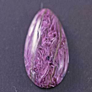 �V�R��,�J�{�V����,�`�����A�C�g,���K�[��