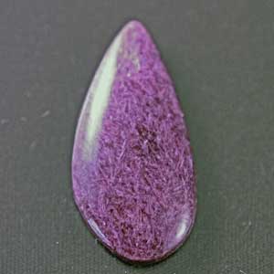 �V�R��,�J�{�V����,�`�����A�C�g,���K�[��