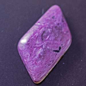 �V�R��,�J�{�V����,�`�����A�C�g,���K�[��