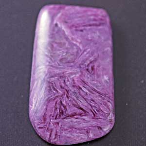 �V�R��,�J�{�V����,�`�����A�C�g,���K�[��