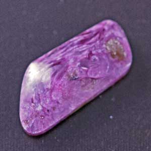 �V�R��,�J�{�V����,�`�����A�C�g,���K�[��