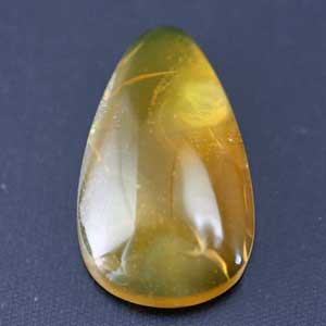 �V�R��,�J�{�V����,�C�G���[�I�p�[��,���K�[��