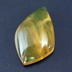 �V�R��,�J�{�V����,�C�G���[�I�p�[��,���K�[��