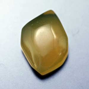 �V�R��,�J�{�V����,�C�G���[�I�p�[��,���K�[��