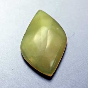 �V�R��,�J�{�V����,�C�G���[�I�p�[��,���K�[��