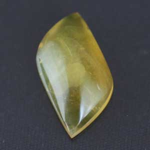 �V�R��,�J�{�V����,�C�G���[�I�p�[��,���K�[��