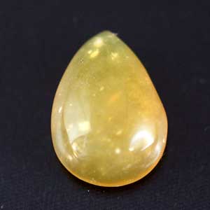 �V�R��,�J�{�V����,�C�G���[�I�p�[��,���K�[��