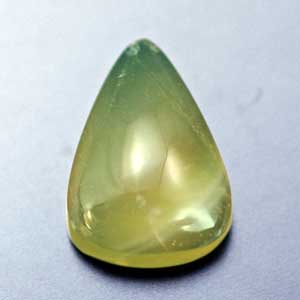 �V�R��,�J�{�V����,�C�G���[�I�p�[��,���K�[��