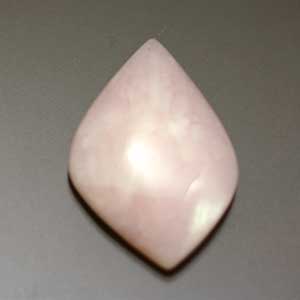 �V�R��,�J�{�V����,�s���N�I�p�[��,���K�[��