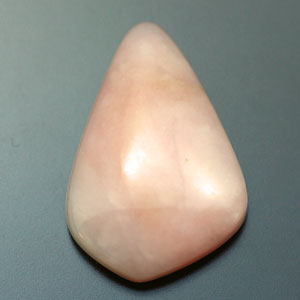 �V�R��,�J�{�V����,�s���N�I�p�[��,���K�[��