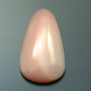 �V�R��,�J�{�V����,�s���N�I�p�[��,���K�[��