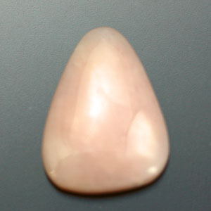 �V�R��,�J�{�V����,�s���N�I�p�[��,���K�[��