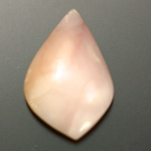 �V�R��,�J�{�V����,�s���N�I�p�[��,���K�[��