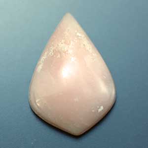 �V�R��,�J�{�V����,�s���N�I�p�[��,���K�[��