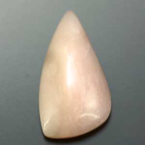 �V�R��,�J�{�V����,�s���N�I�p�[��,���K�[��