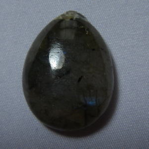 �V�R�΁E���u���g���C�g