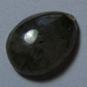 �V�R�΁E���u���g���C�g