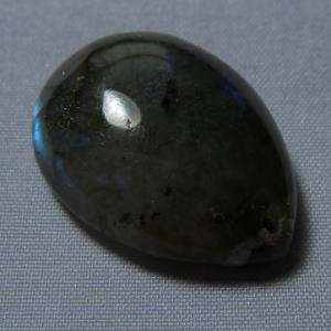 �V�R�΁E���u���g���C�g