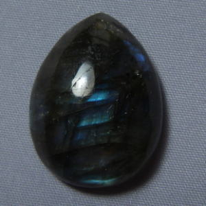 �V�R�΁E���u���g���C�g