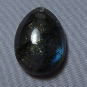 �V�R�΁E���u���g���C�g