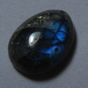 �V�R�΁E���u���g���C�g