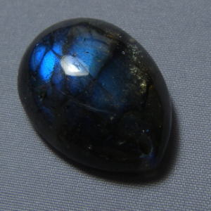 �V�R�΁E���u���g���C�g