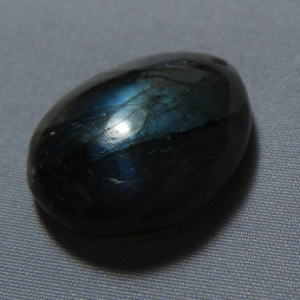 �V�R�΁E���u���g���C�g