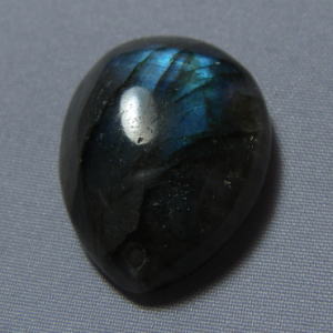 �V�R�΁E���u���g���C�g