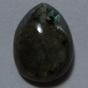 �V�R�΁E���u���g���C�g