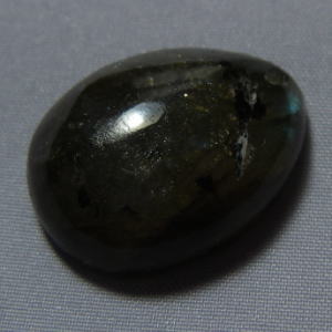 �V�R�΁E���u���g���C�g